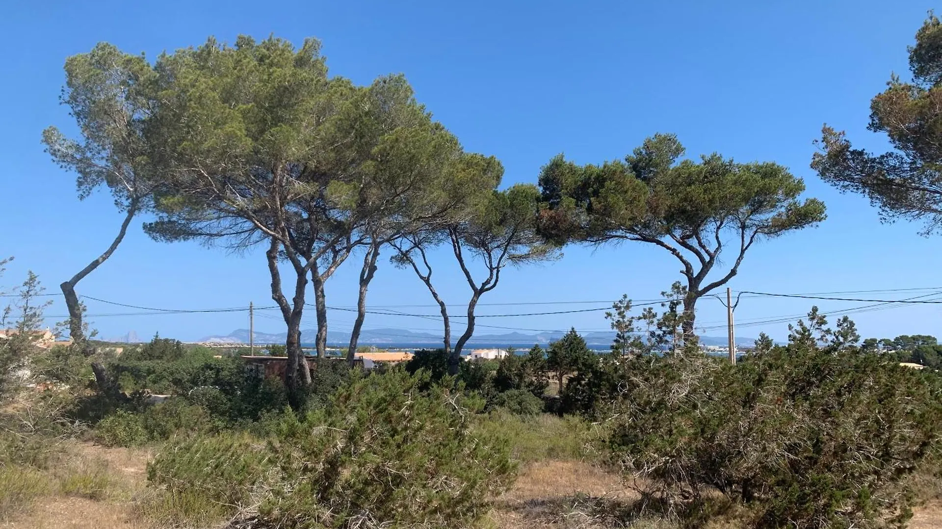 Formentera S'Orenella BALEARIC ISLANDS إسبانيا